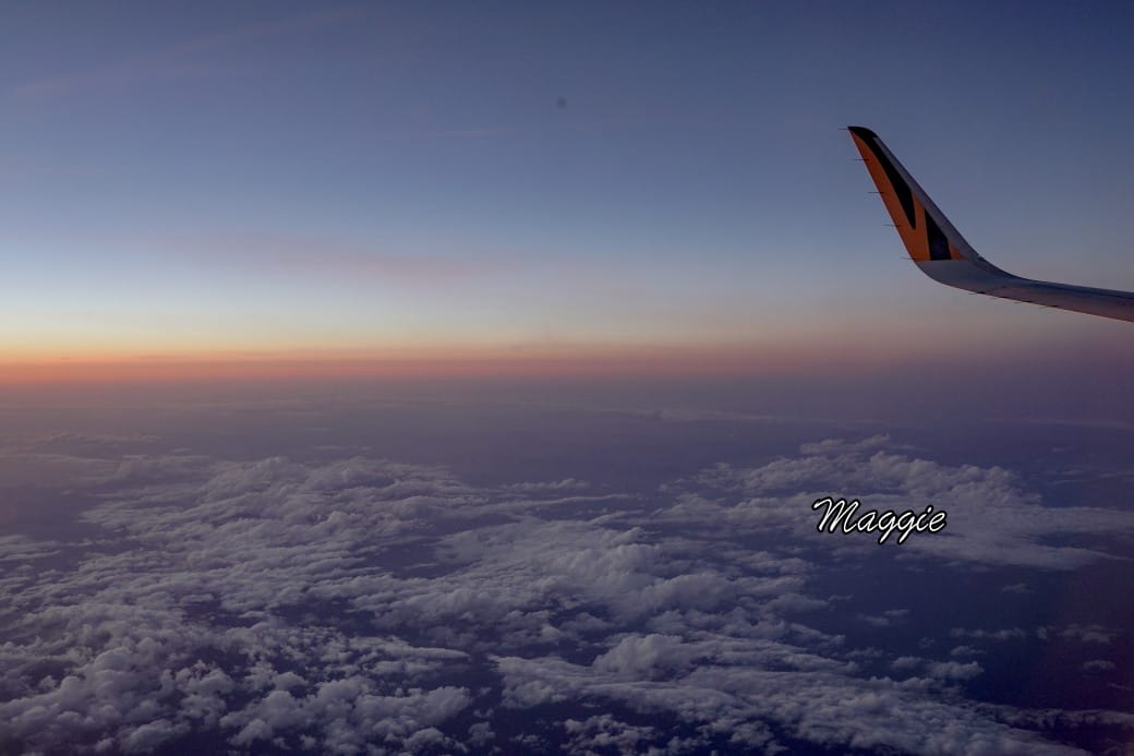 台灣虎航開箱，廉價航空座位空間，餐點，省錢日本自由行到底舒適嗎？