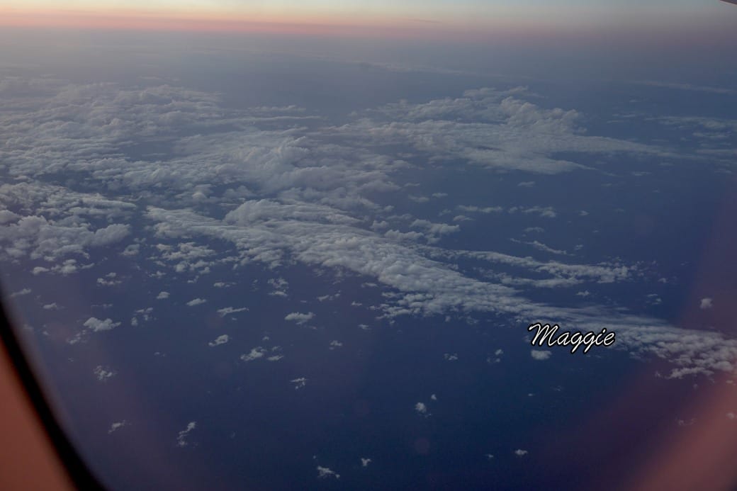 台灣虎航開箱，廉價航空座位空間，餐點，省錢日本自由行到底舒適嗎？