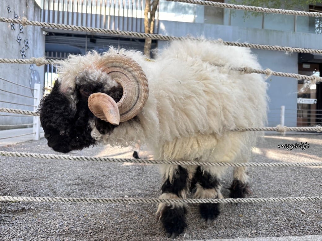 宜蘭景點｜黑RURU CAFE，跟超萌笑笑羊一起喝咖啡，還可以餵笑笑羊，超可愛的，菜單