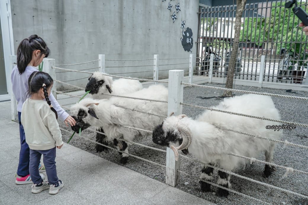 宜蘭景點｜黑RURU CAFE，跟超萌笑笑羊一起喝咖啡，還可以餵笑笑羊，超可愛的，菜單
