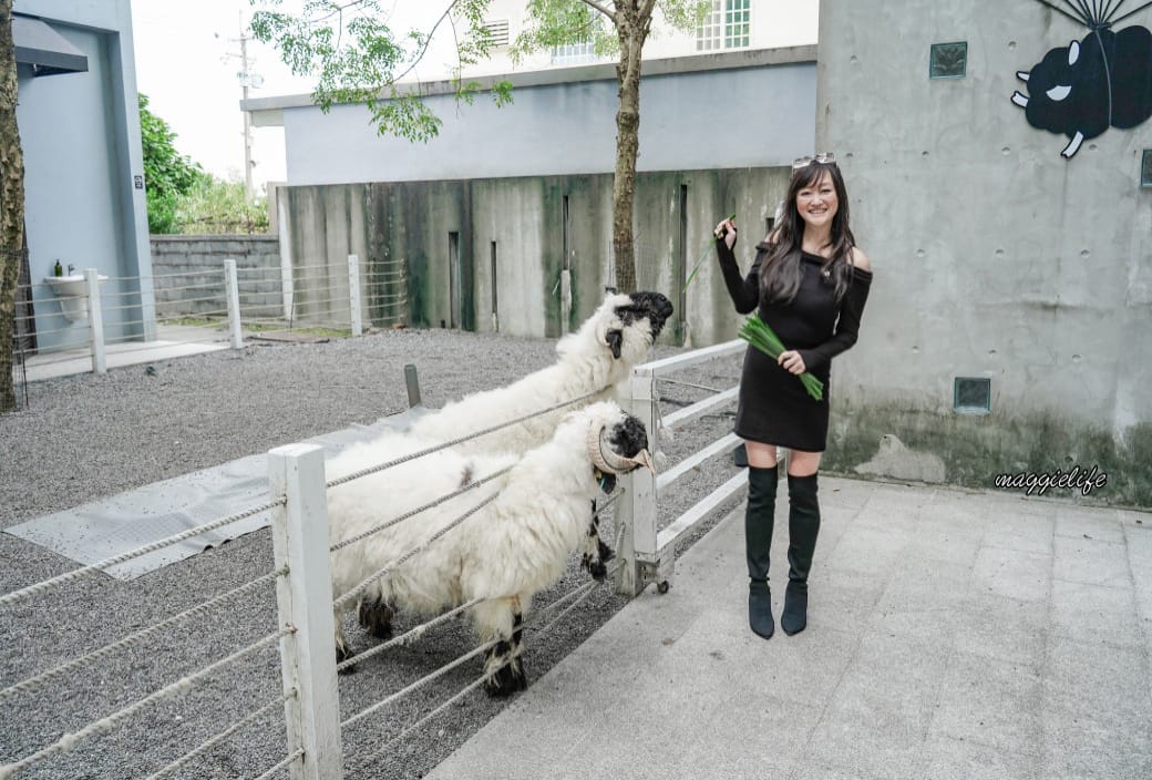 宜蘭景點｜黑RURU CAFE，跟超萌笑笑羊一起喝咖啡，還可以餵笑笑羊，超可愛的，菜單