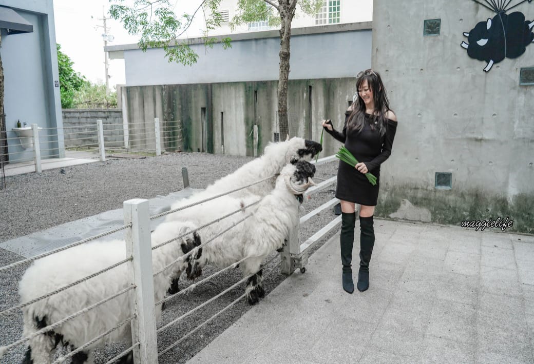 宜蘭景點｜黑RURU CAFE，跟超萌笑笑羊一起喝咖啡，還可以餵笑笑羊，超可愛的，菜單