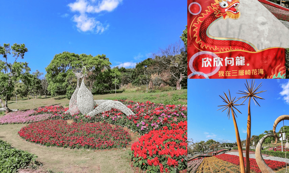 三層崎花海拼