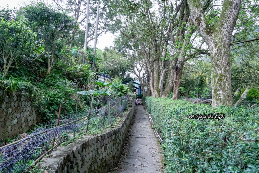 茗穀屋烘培坊，內湖白石湖內的竹林秘境景觀豆花店，白石湖必吃，菜單