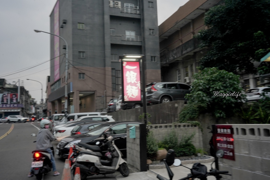 1silver noodelDSC02517