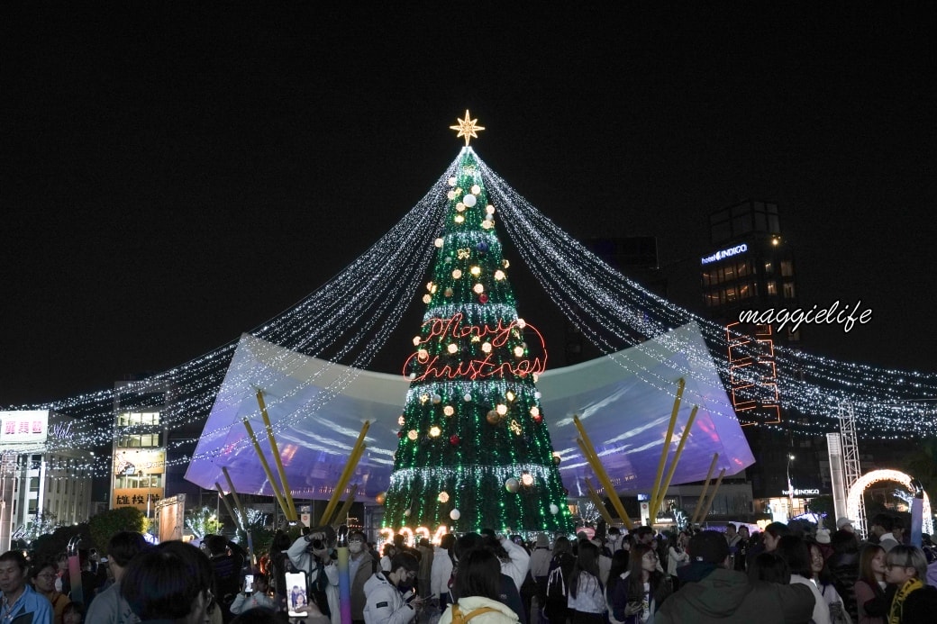 Xmastreekaoshandsc07304