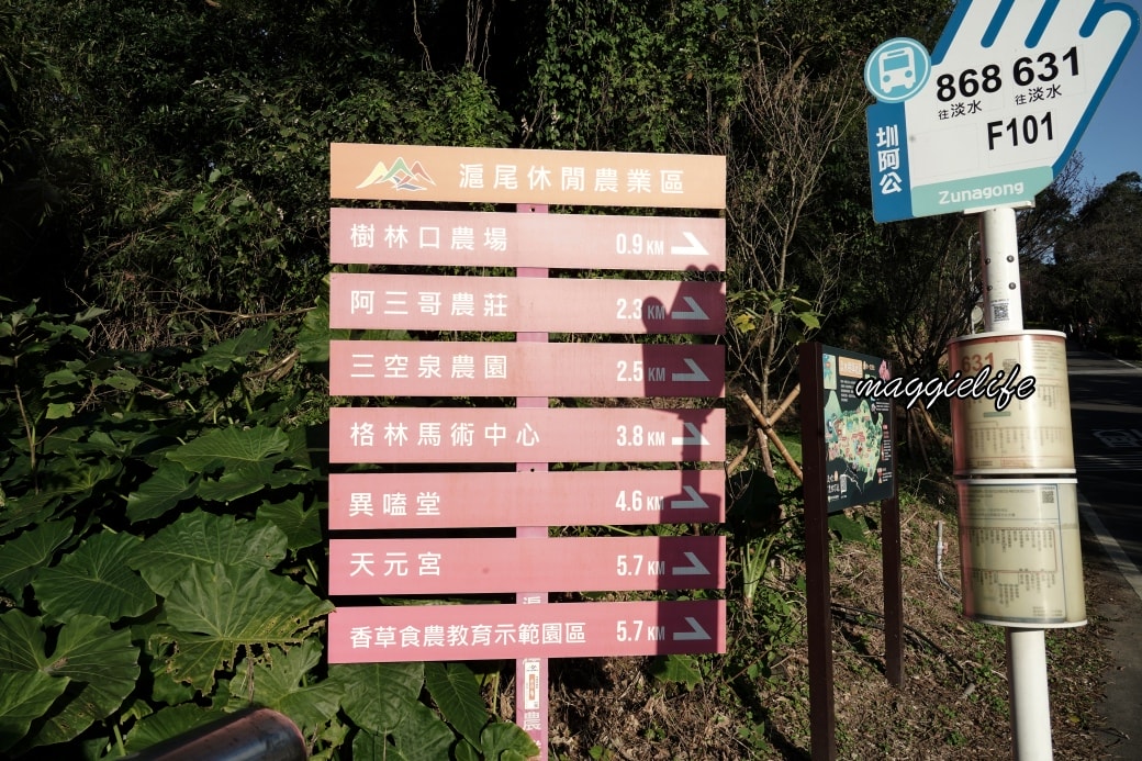 Tamsui Sakuradsc08781