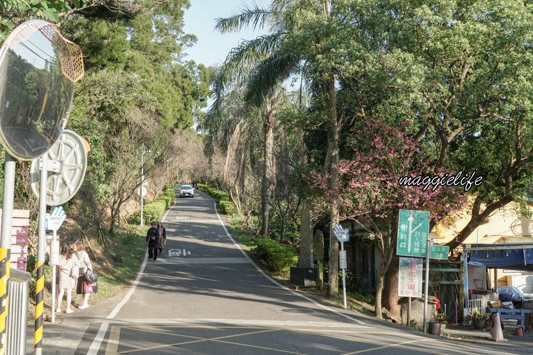 Tamsui Sakuradsc08786