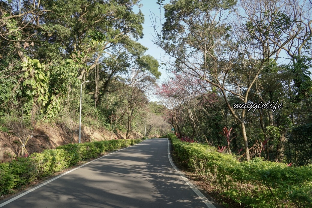 Tamsui Sakuradsc08796