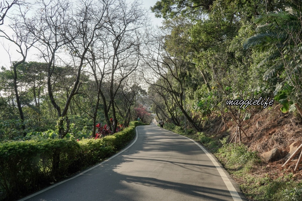 Tamsui Sakuradsc08814