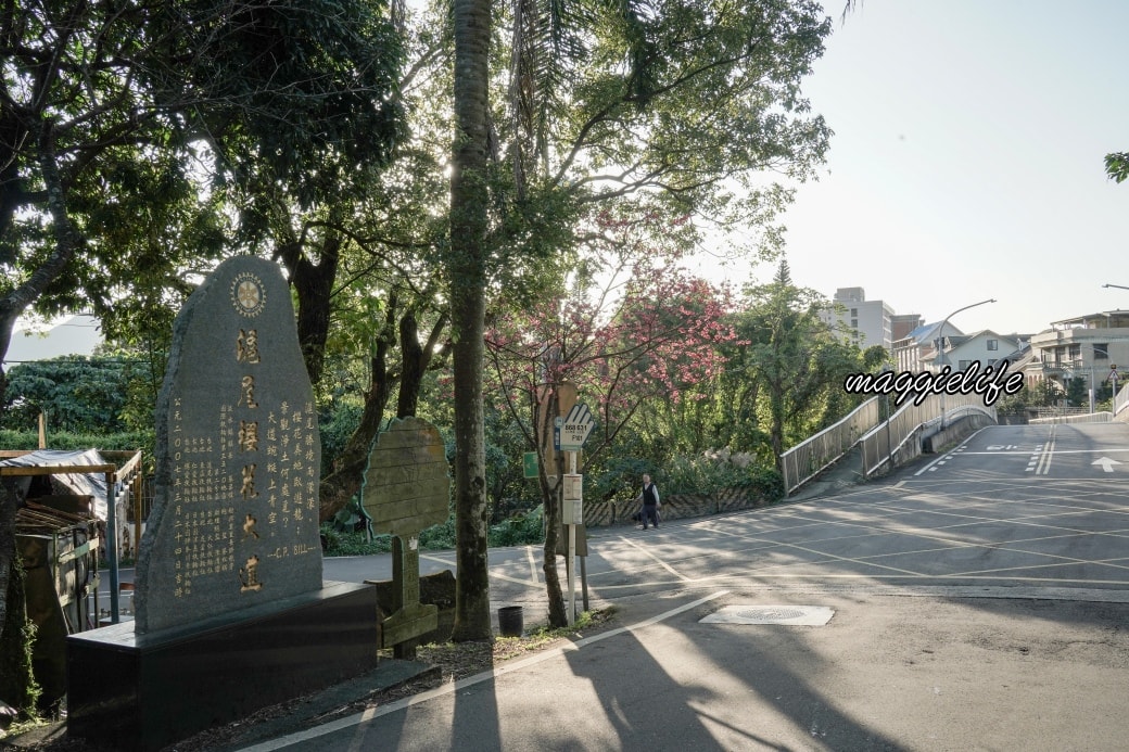 Tamsui Sakuradsc08819