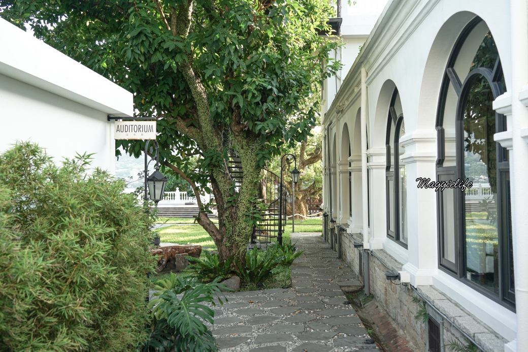 Wdyart danshidsc01138