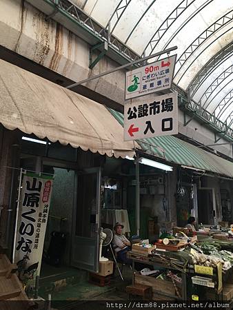 IMG_9133