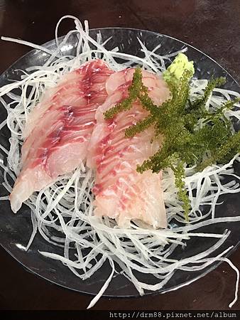 IMG_9106