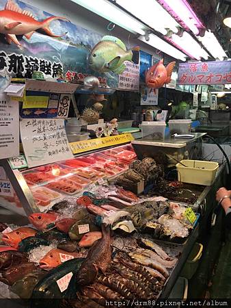IMG_9131