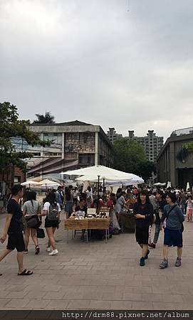 IMG_5347