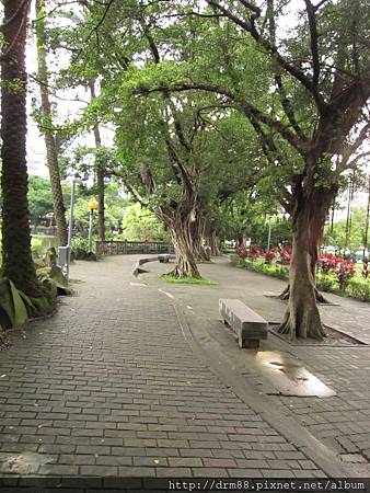 IMG_8252.JPG