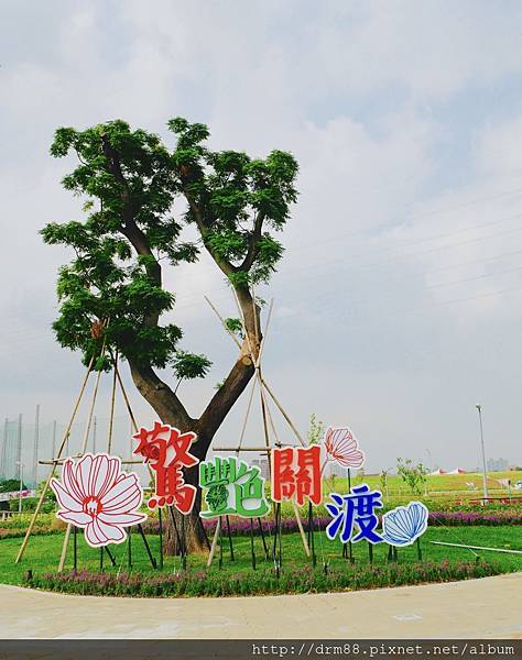 P1010839.jpg