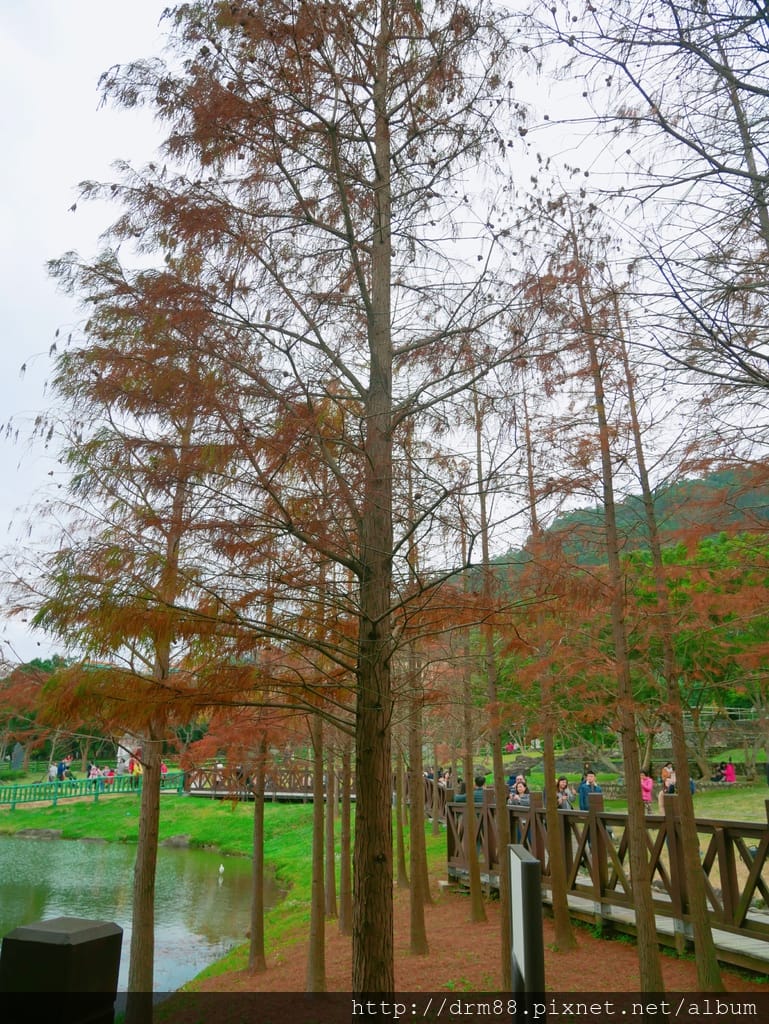 35878FCB-E70D-439A-AAF1-6AC096CD06F1.jpeg