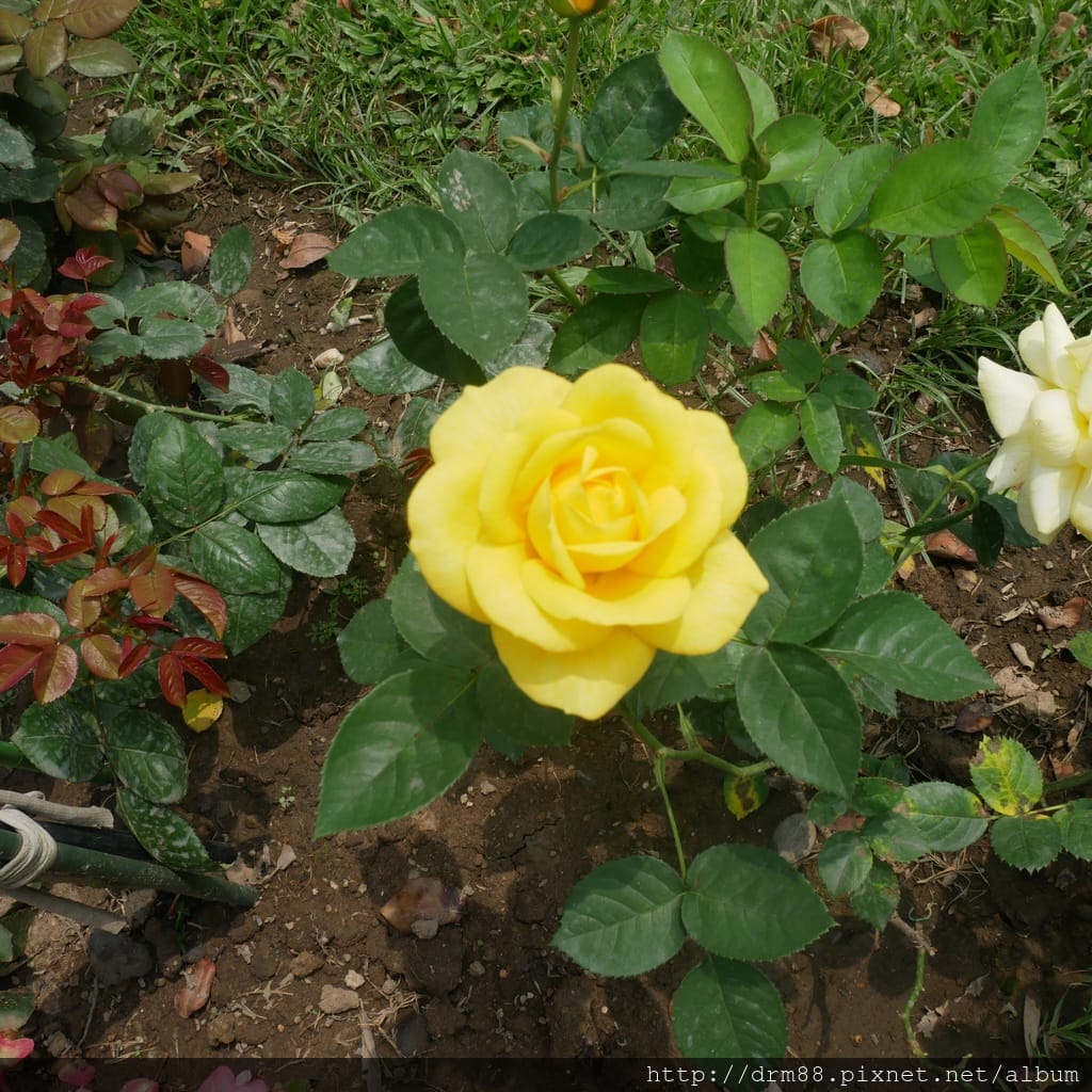 D77ACC3B-CE61-4776-AE02-2E180EF6CB54.jpeg D77ACC3B-CE61-4776-AE02-2E180EF6CB54.jpeg