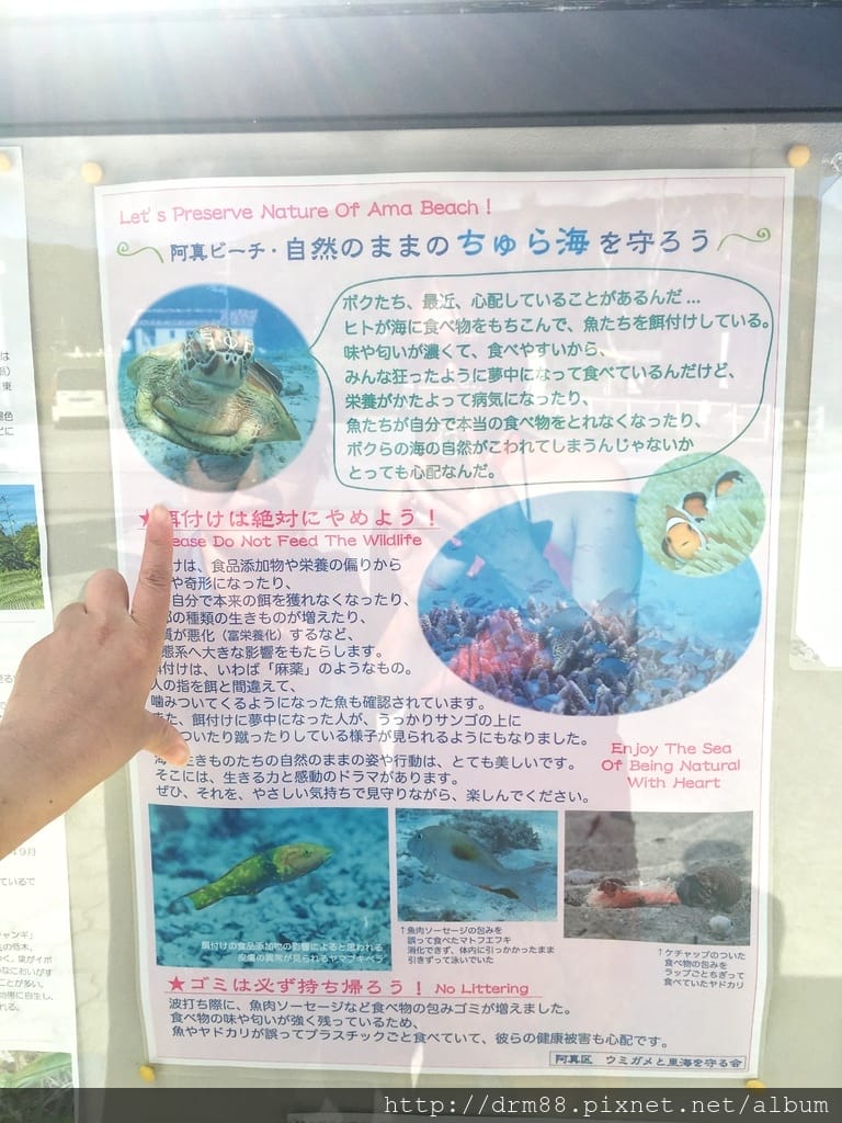 4C569E2B-B122-4F2A-A6AB-0C451D7C7634.jpeg