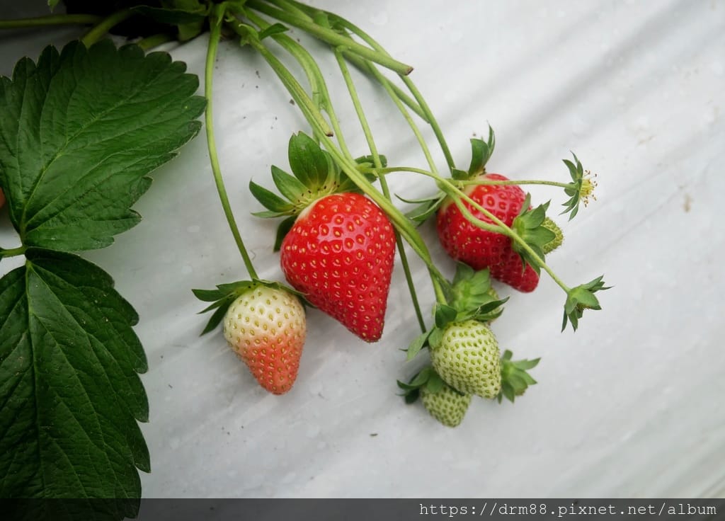10DD16C0-0BB4-4627-B73C-C4641EC7B659.jpeg
