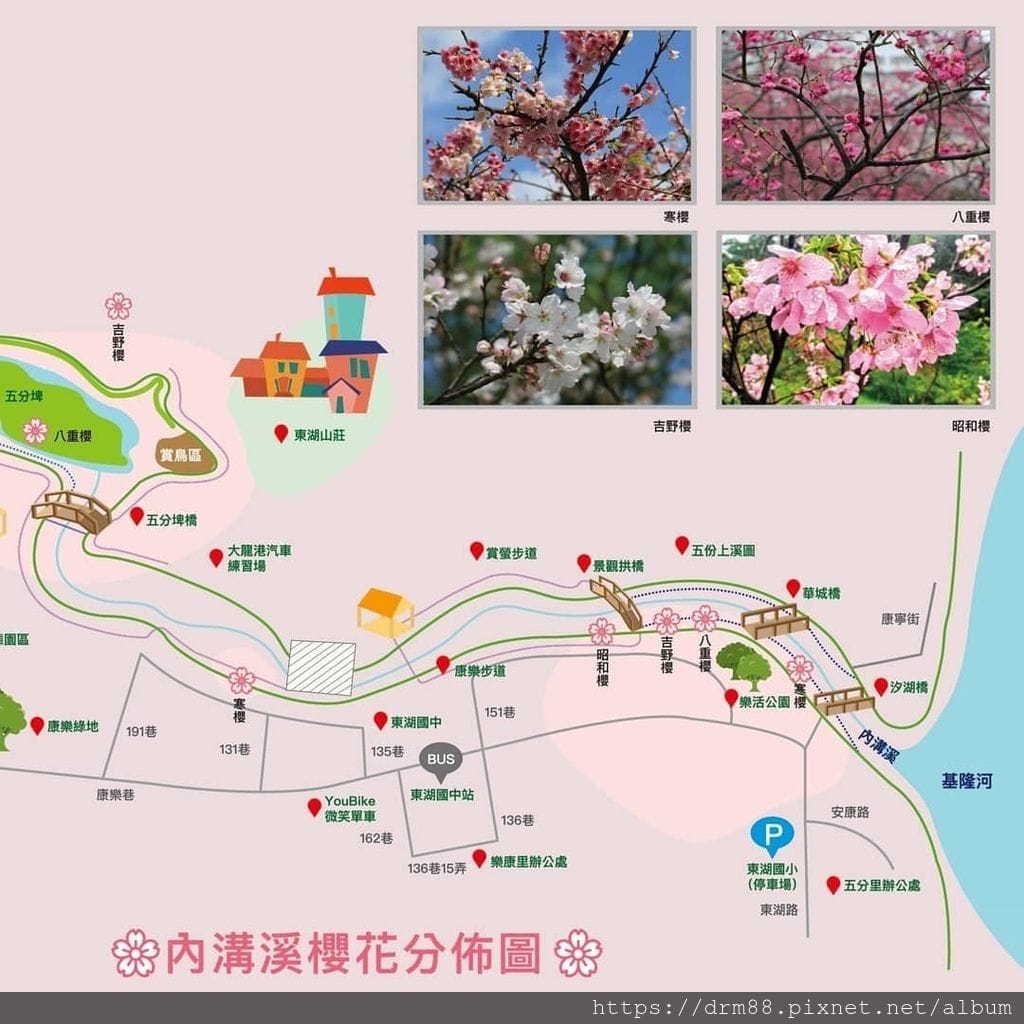 2023內湖樂活公園，內湖樂活夜櫻季，台北市賞櫻熱門景點，交通，花期，特色，路線，停車攻略！ @瑪姬幸福過日子