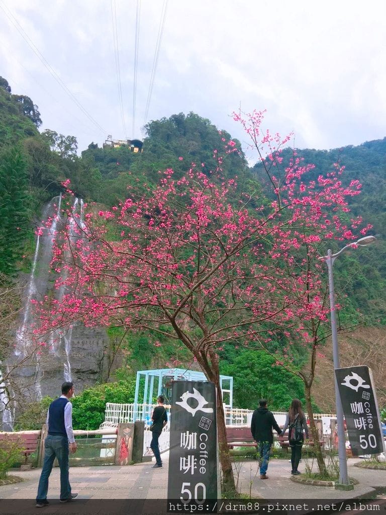 9D868204-0C48-461E-BAF7-BFB575F71D2C.jpeg