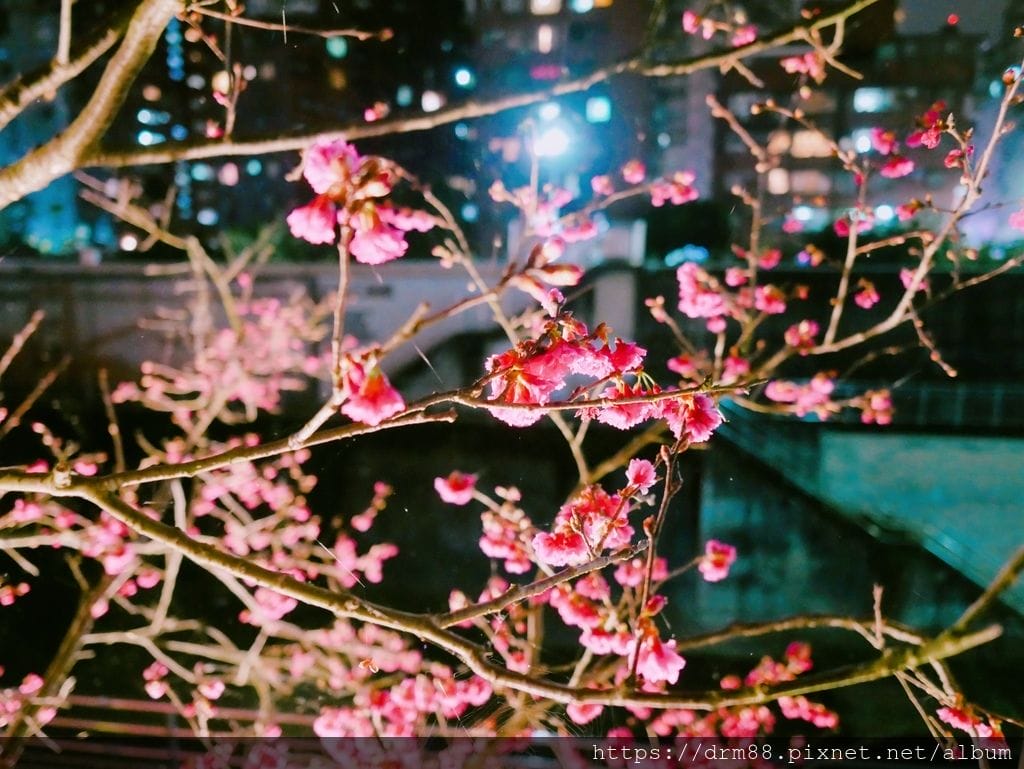 C884B1A9-ECEE-467E-B08D-FA9A09ED1450.jpeg