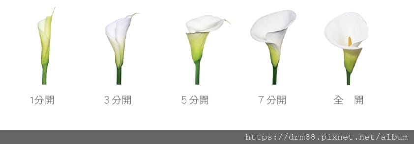 C7525C25-8AA4-4B41-AF26-1A0E49C2C9D7.jpeg