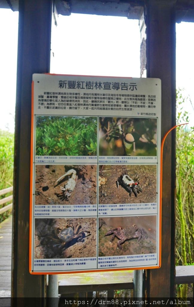 7F852C14-F89D-4708-A060-59B11E418FFD.jpeg