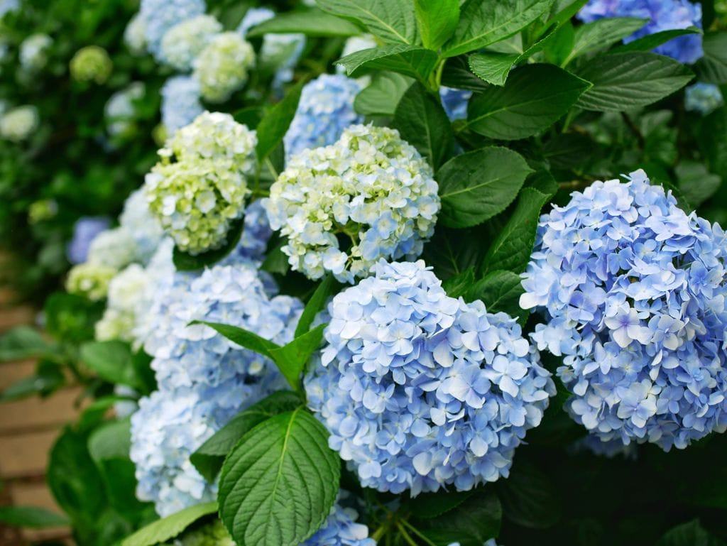 B28220E1-A4C0-4987-824F-6027B1ABC2AD.jpeg