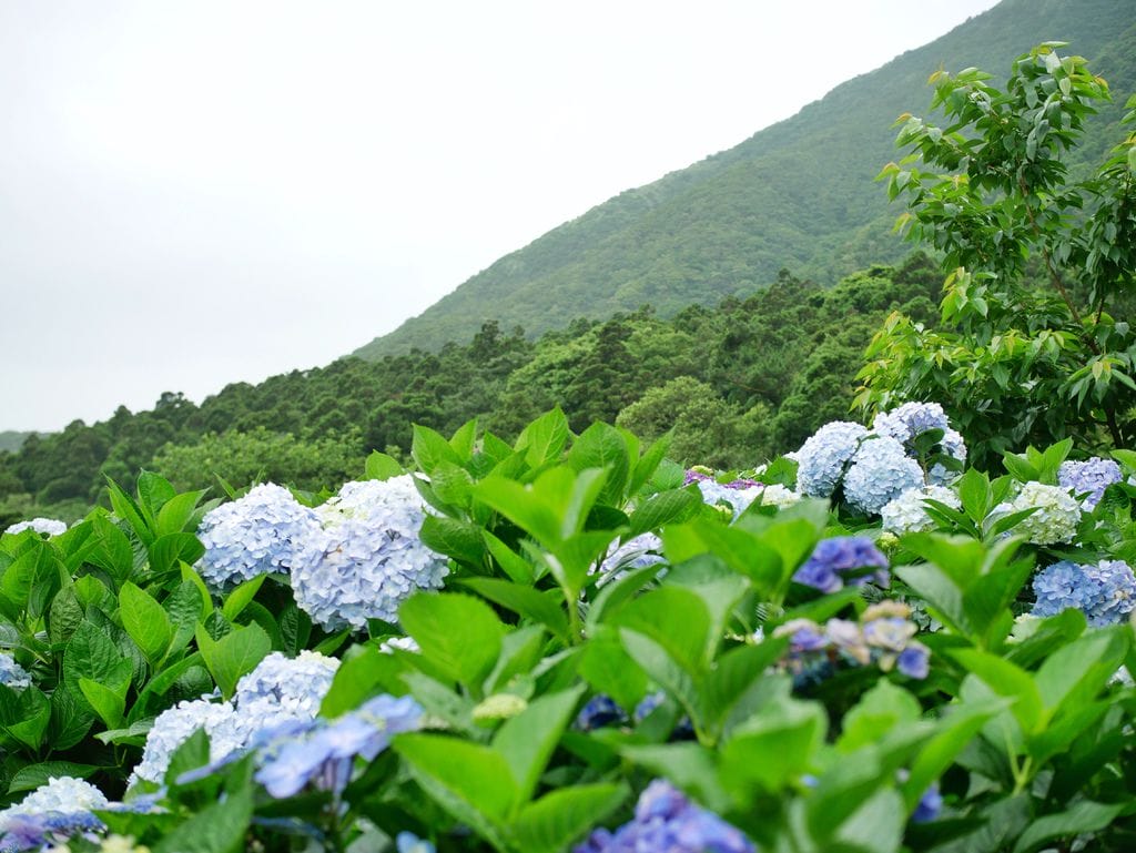 C50259F4-B8EA-418C-8C10-586AF4366240.jpeg