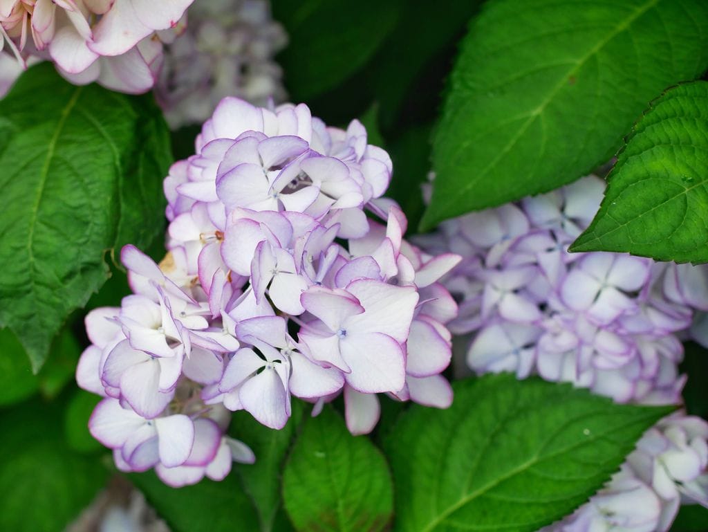 9AAB8050-AE90-4A29-BE5B-2860553AAFA9.jpeg