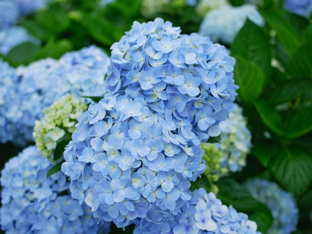 8F689D1B-63B2-447F-B1E6-F375CB80DB56.jpeg
