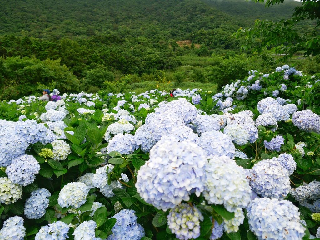 9B64BDB5-BA97-4C5B-B1C8-E882807D0EB8.jpeg