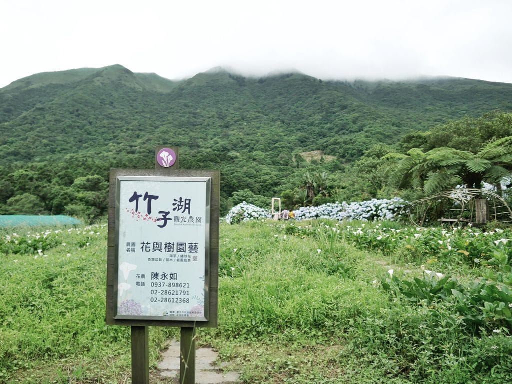 5349CD21-2270-4793-B2EA-F940477D9E5A.jpeg