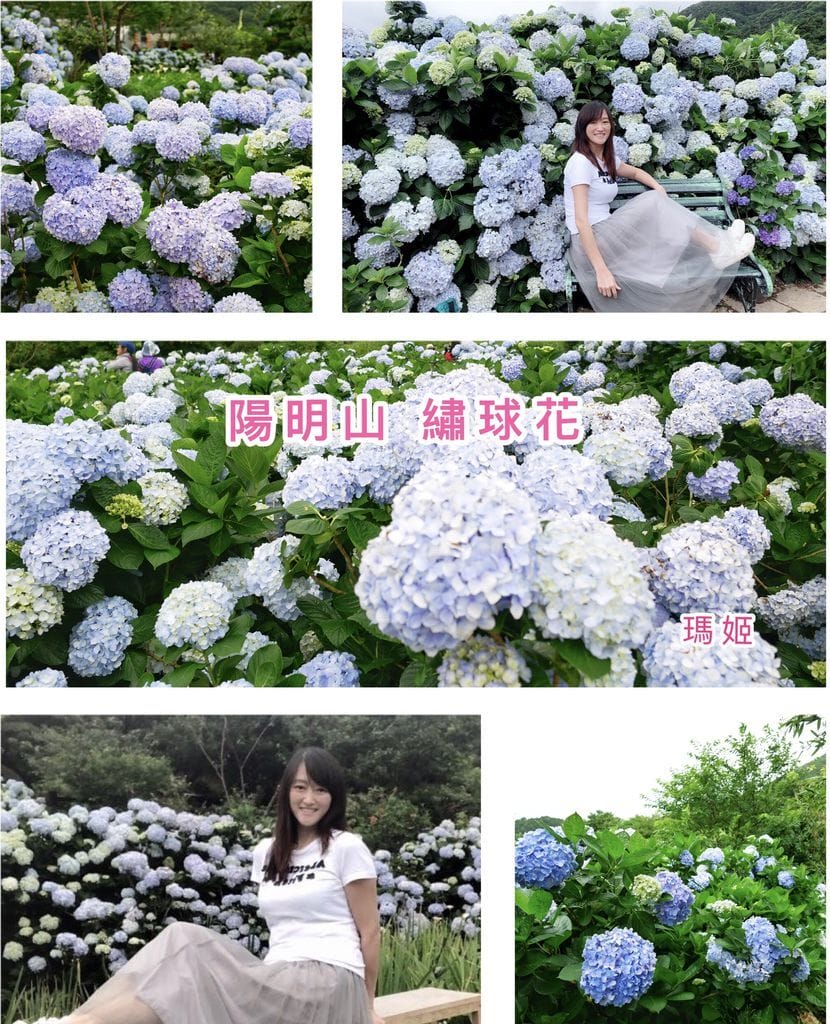 C312ECEB-00B2-4FEF-853A-AE86388370D5.jpeg