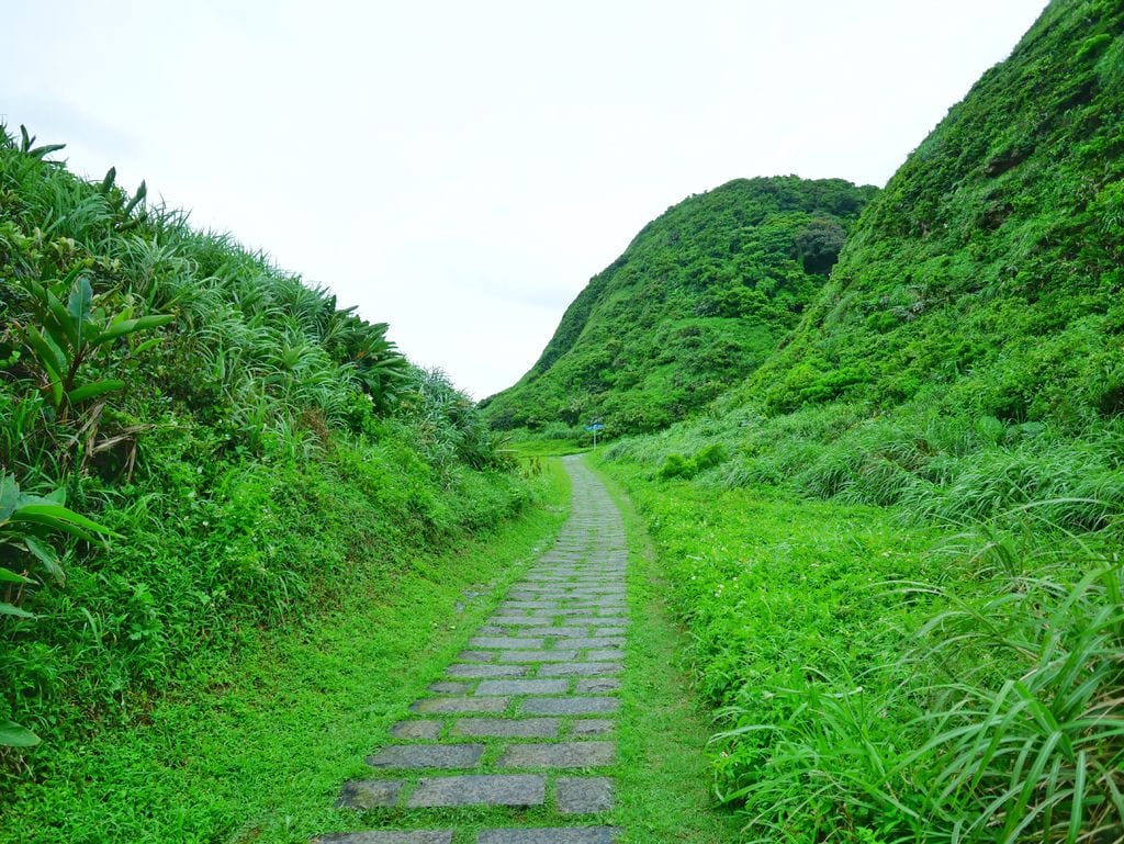 3C2ADEAE-DC1D-49D7-94E1-76520010A45B.jpeg