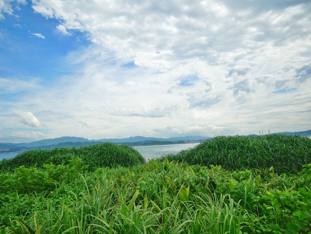6A98D433-CCAA-456B-8B2D-B3F2F1872B3A.jpeg