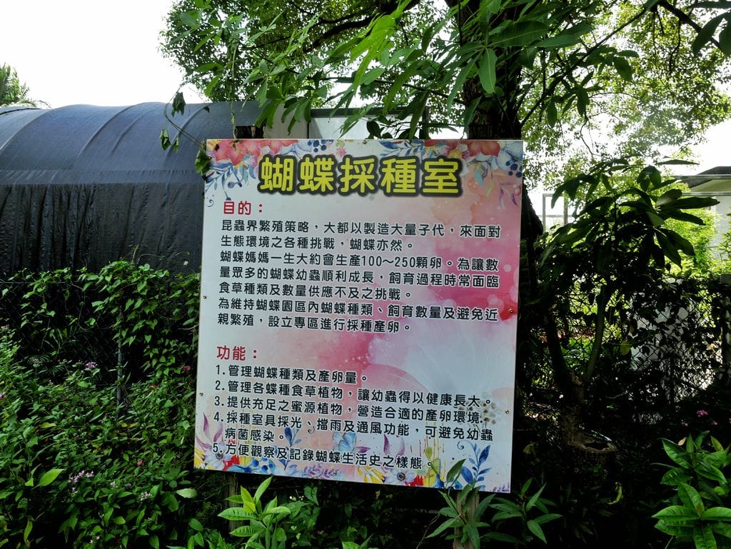 6070892D-7D70-41DB-8B94-F1CB7D19AC8B.jpeg