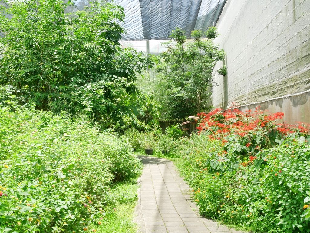 1123F4D1-F03A-42E4-ABE2-47322C27251F.jpeg