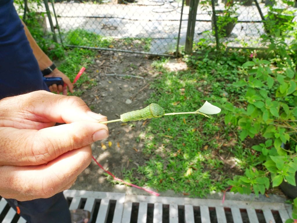 E494F91A-DDB9-412D-87DA-9DBDF9A86E31.jpeg