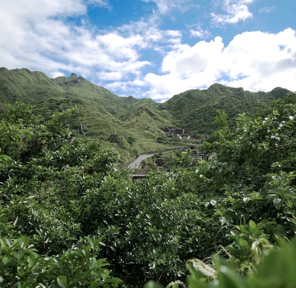 D1BF5906-3C0C-4F14-92A1-68953A84607A.jpeg