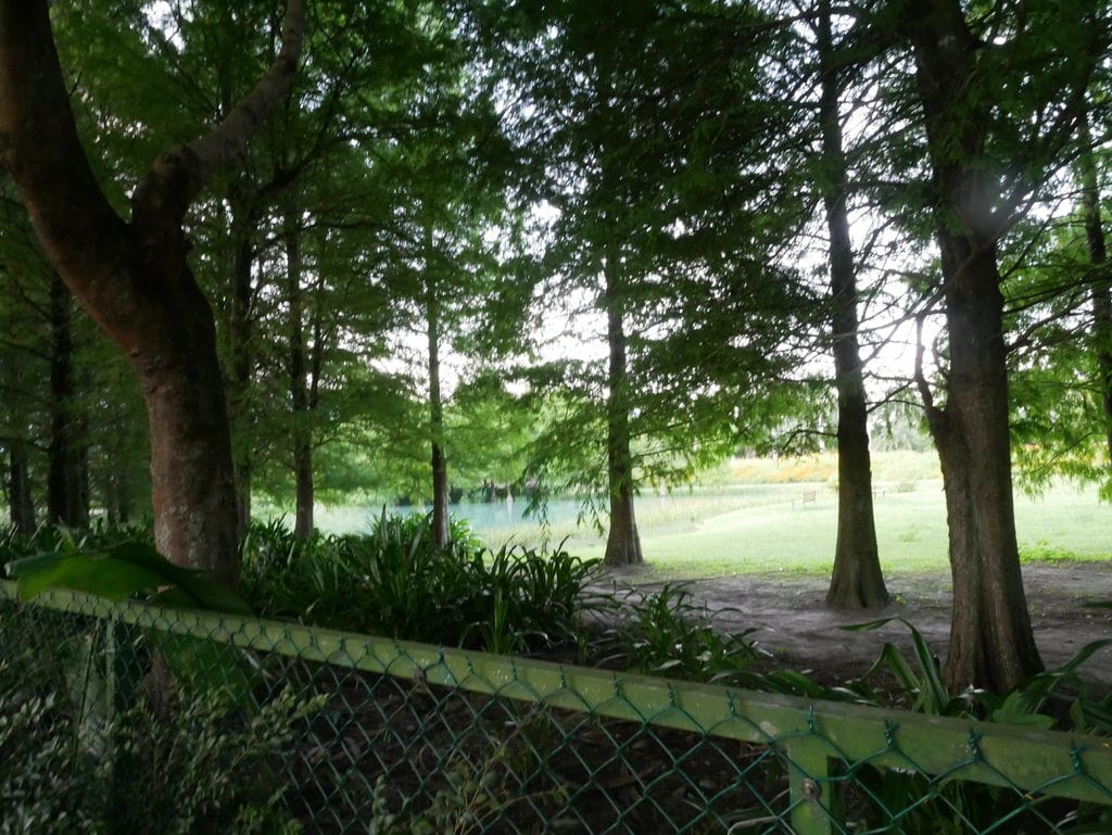 08D82BE6-FF56-4186-8C9B-681149AB39C6.jpeg