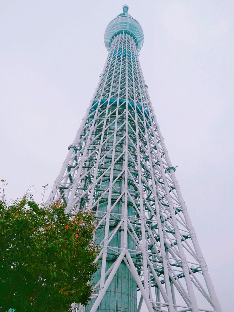 709B7C59-255C-4F58-86A6-C95C37DD42FC.jpeg