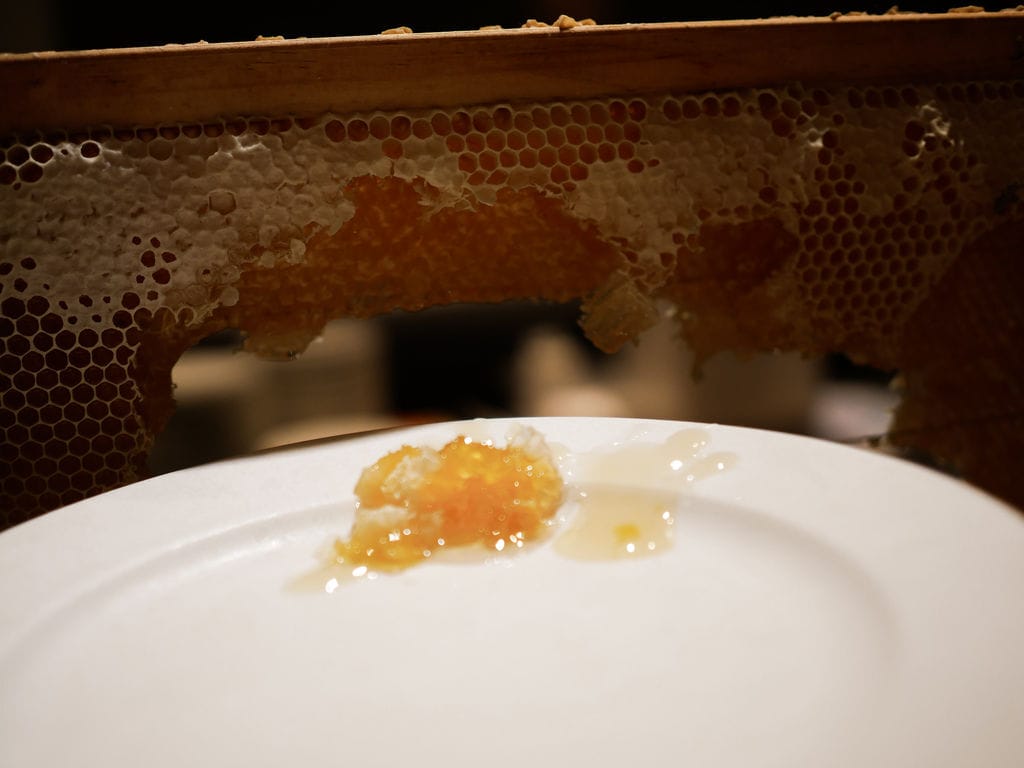 241087AC-4B03-43FB-9C50-282932AF4911.jpeg