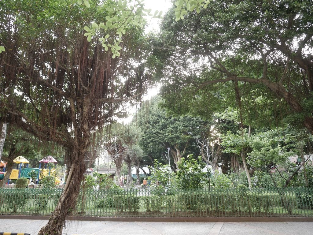 E846064F-7D9C-40EB-B8B0-ABA2AFDD4BFE.jpeg