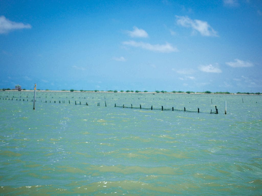 380D5DFE-0840-4A2C-878D-1D06E23175F4.jpeg