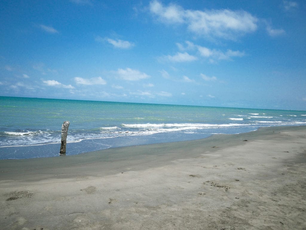 3C7538B8-04F5-4BE9-B0D7-4DF086CEE9B7.jpeg